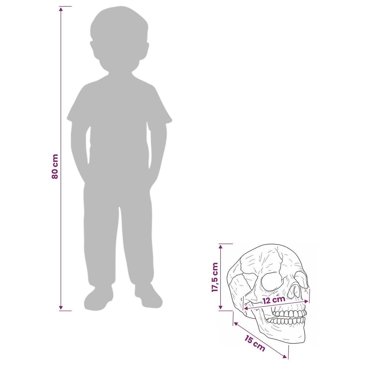 Halloween-dödskalle SPOOKA 2 st Vit 12 x 15 x 17.5 cm Plast