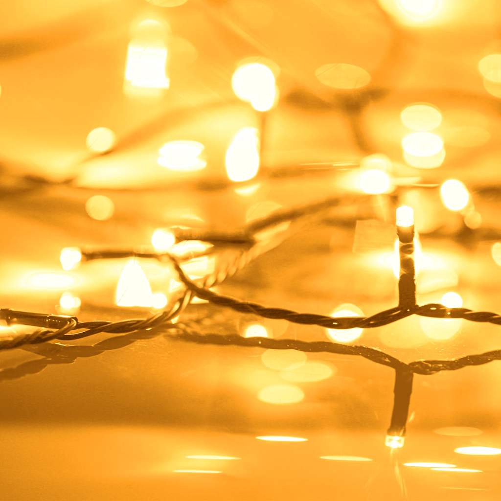 Ljusslinga med 1000 LED 100 m 8 ljuseffekter IP44 varmvit