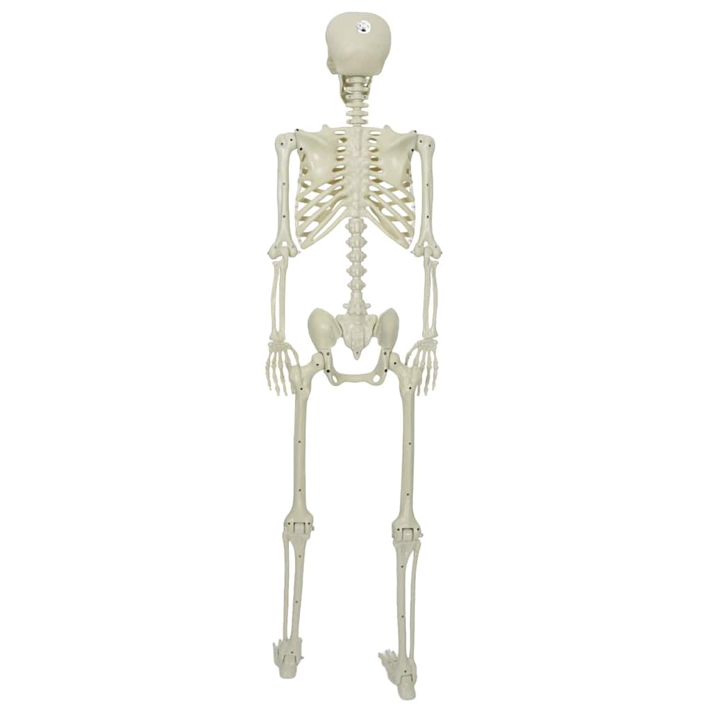 Halloween Skelett Vit 155 x 38,5 cm Polypropylen