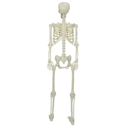 Halloween Skelett Vit 155 x 38,5 cm Polypropylen
