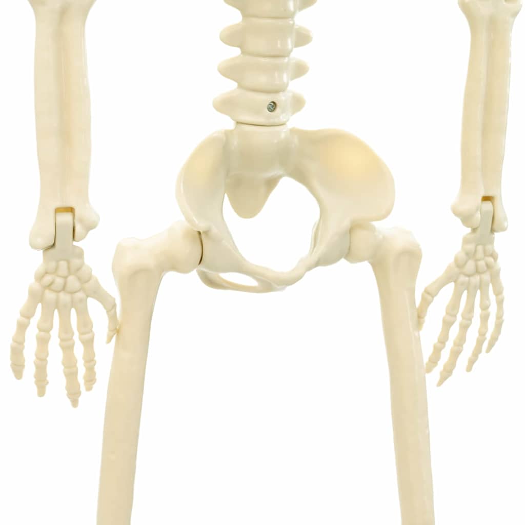 Halloween skelett 2 st Vit 85 cm PVC