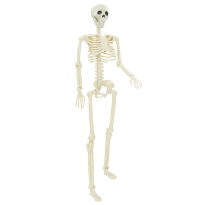 Halloween skelett 2 st Vit 85 cm PVC