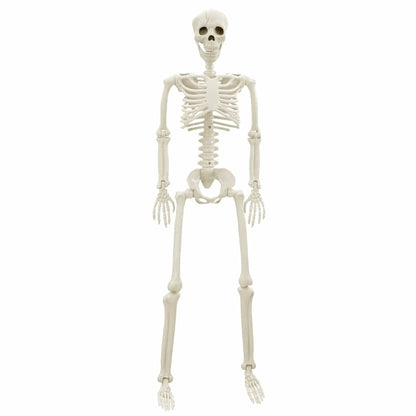Halloween skelett 2 st Vit 85 cm PVC