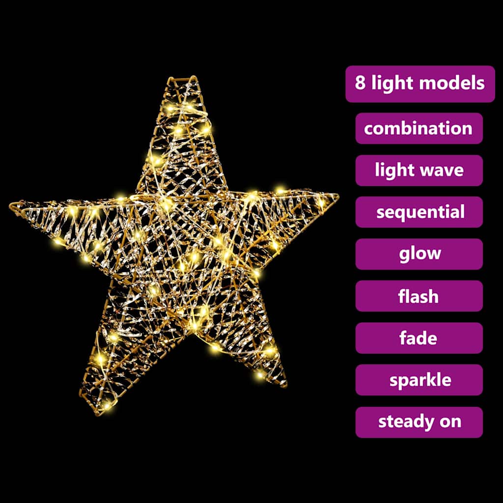 3D Stjärna 50 LED-lampor Varmvit 55 x 52,5 x 9 cm PET