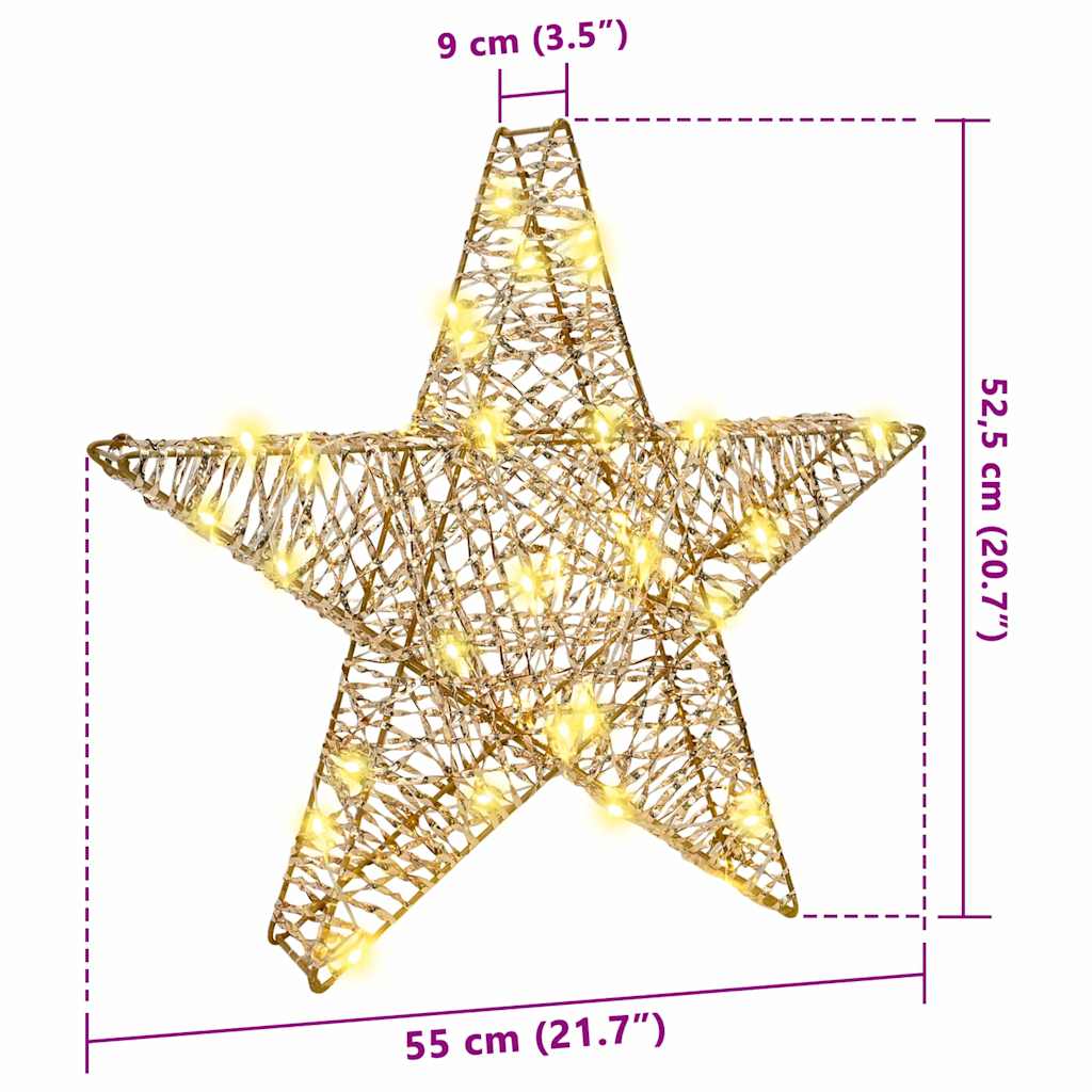 3D Stjärna 50 LED-lampor Varmvit 55 x 52,5 x 9 cm PET