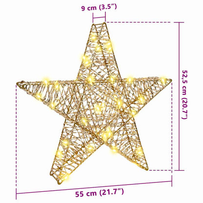 3D Stjärna 50 LED-lampor Varmvit 55 x 52,5 x 9 cm PET