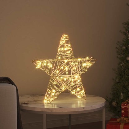 3D Stjärna 50 LED-lampor Varmvit 55 x 52,5 x 9 cm Rotting