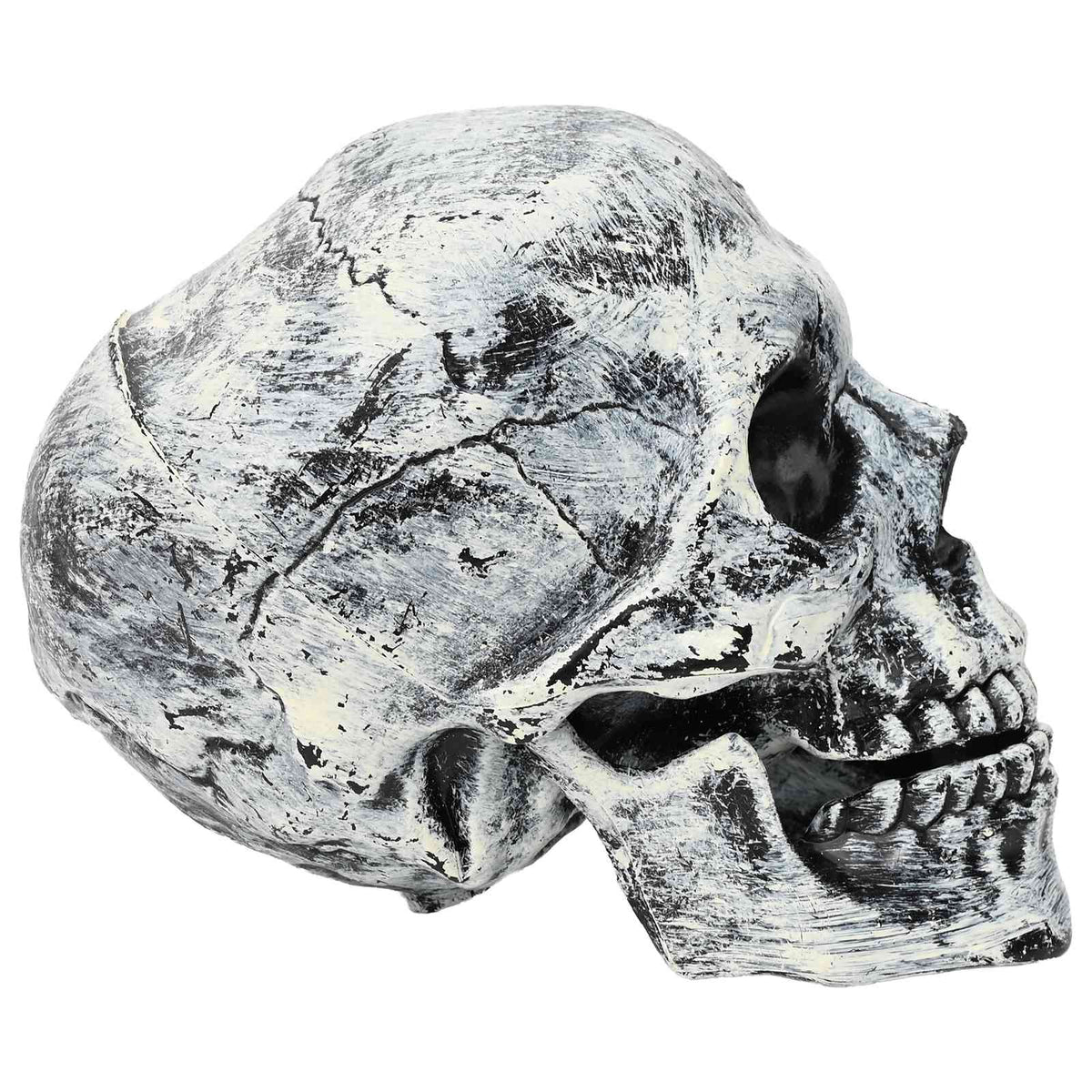 Halloween-dödskalle SPOOKA 2 st Vit 12 x 15 x 17.5 cm Plast